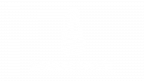 Sagur Invest